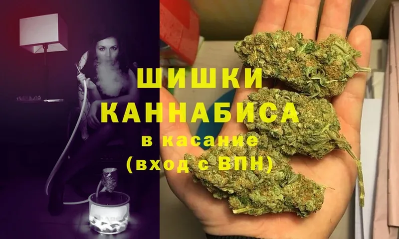 купить наркоту  Шахунья  shop телеграм  Конопля Amnesia 